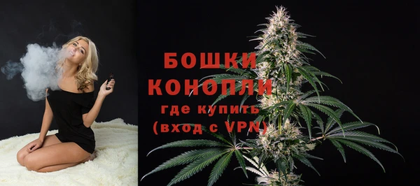 ПСИЛОЦИБИНОВЫЕ ГРИБЫ Наволоки