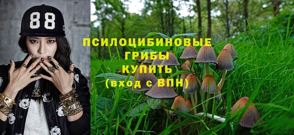 ПСИЛОЦИБИНОВЫЕ ГРИБЫ Наволоки