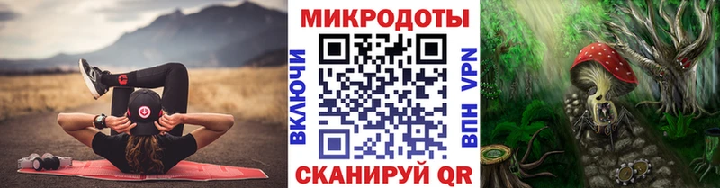 Псилоцибиновые грибы ЛСД наркота Полтавская