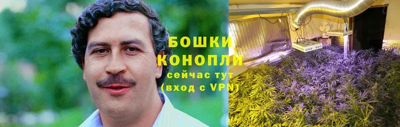 Каннабис Bruce Banner  Полтавская 